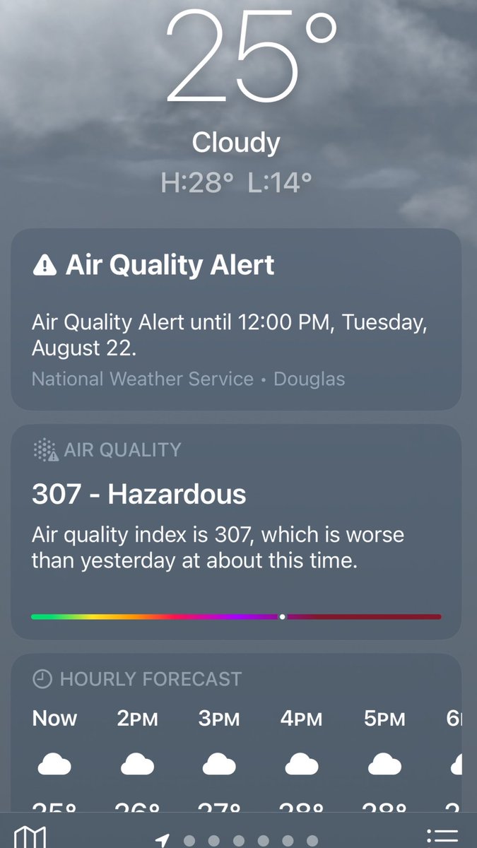sofia aizpuru tweet media