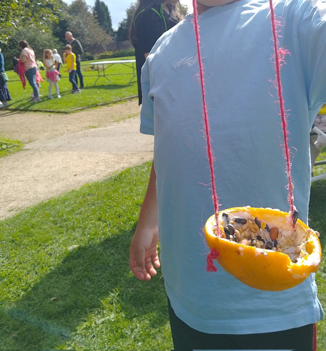 deirdre nelson tweet media