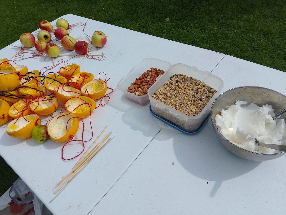 deirdre nelson tweet media