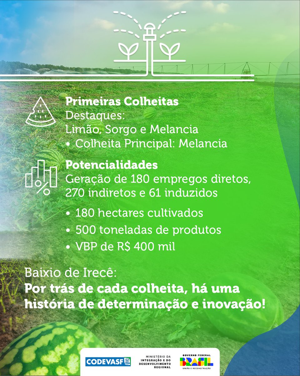 codevasf's tweet image. 🌱🌟 No Médio São Francisco baiano, a #Codevasf está transformando áreas em oásis de produção com o Projeto de Irrigação Baixio de Irecê, destacando cultivos como melancia e impulsionando desenvolvimento local.
Confira!
#SãoFrancisco #BaixioDeIrecê #AgriculturaIrrigada 🌿👉