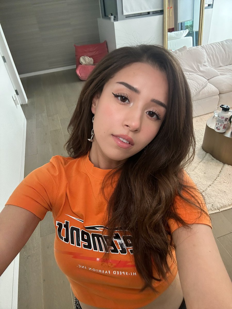 pokimane tweet media