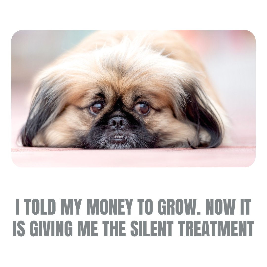 JeffKikel's tweet photo. I told my money to grow, and now it's giving me the silent treatment. 🌱💲😆
#MoneyTalks #OrNot #memes #funny #freedomDay #freedomnation https://t.co/2ncH1XKuvQ
