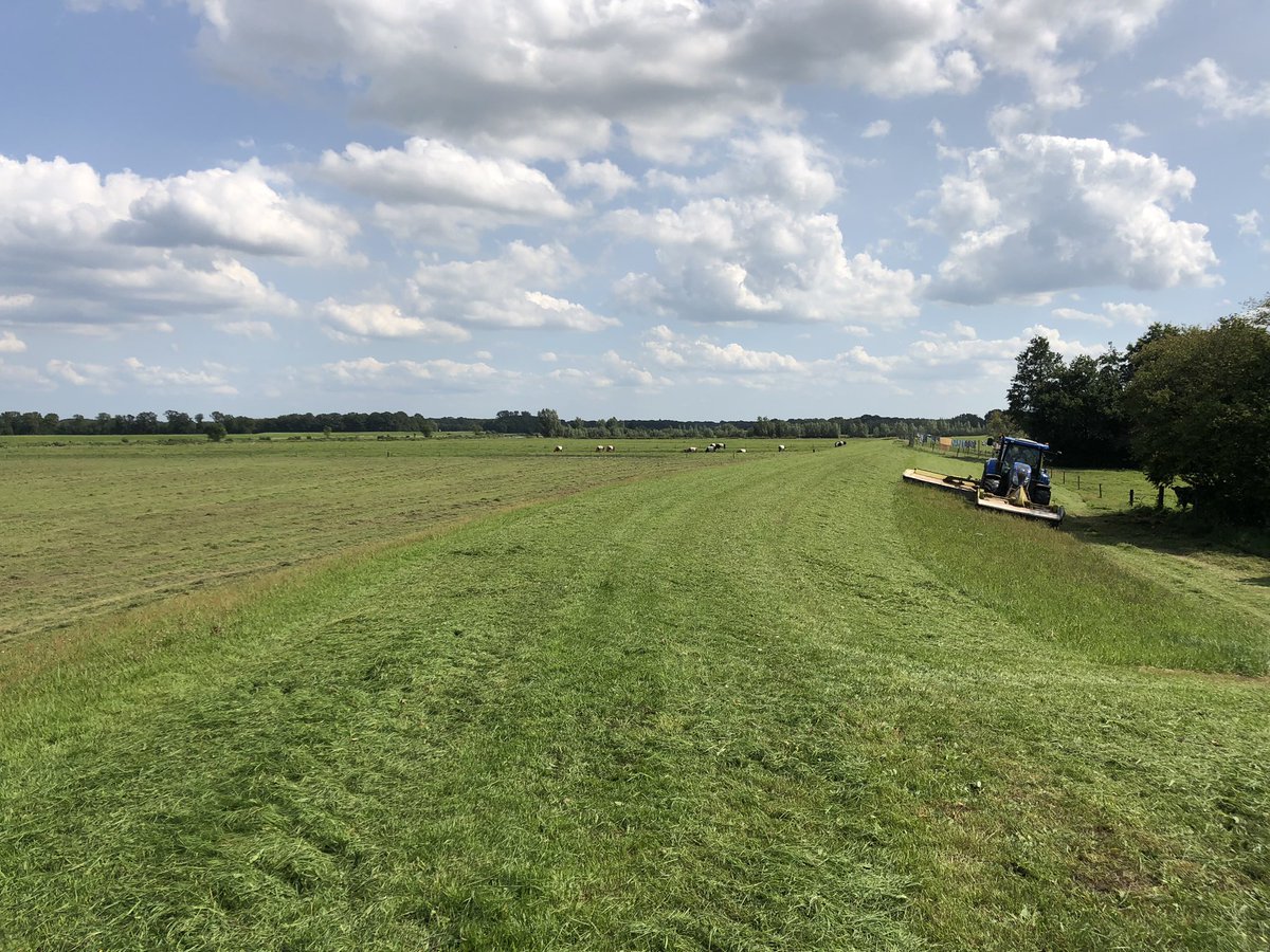 Maaien voor de winterkost 🤠 #mooieweerwerk