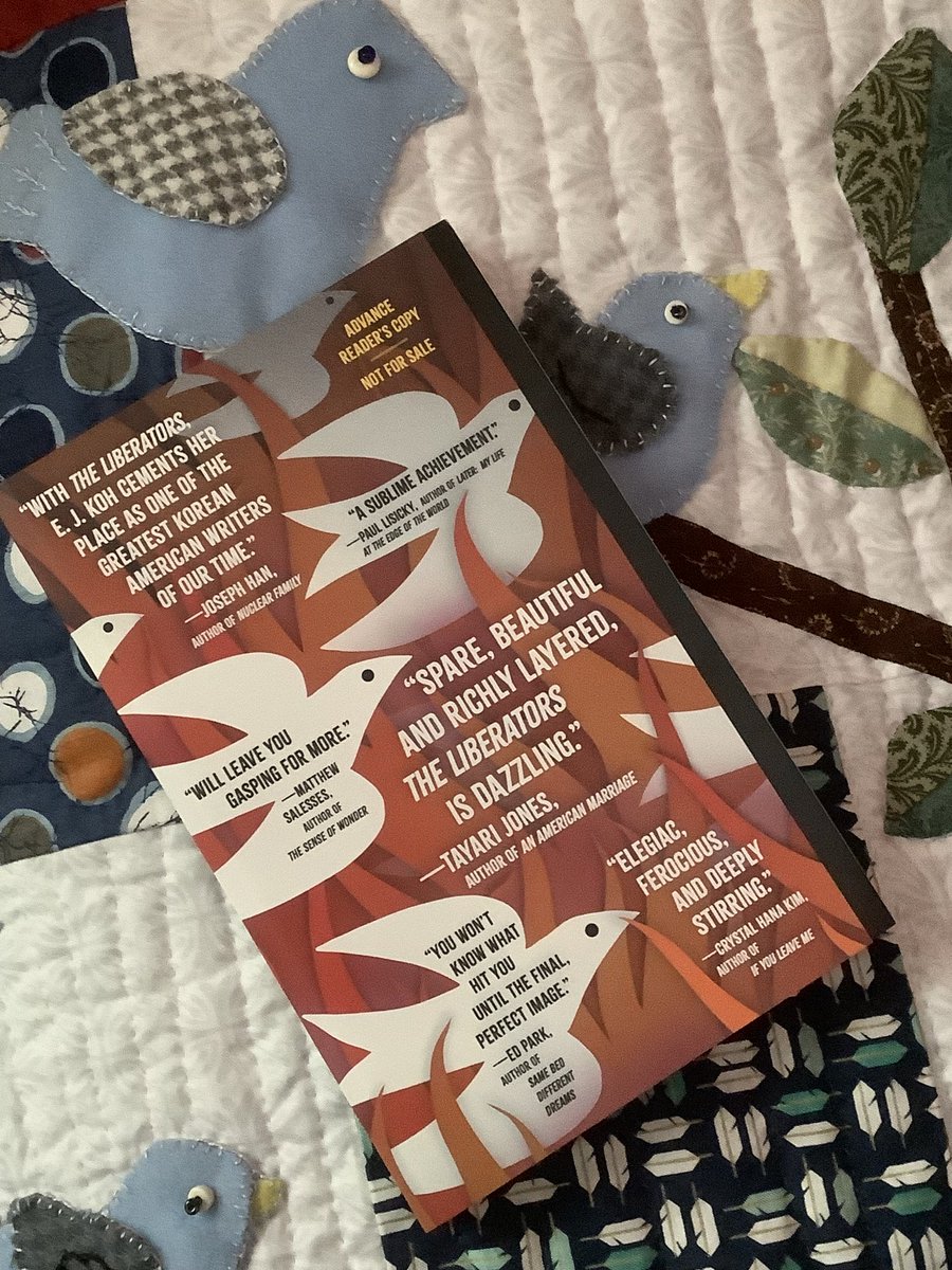 NancyAdairB's tweet photo. #bookmail #theliberators #EJKoh @Tin_House coming this November https://t.co/3ywE0efuFd