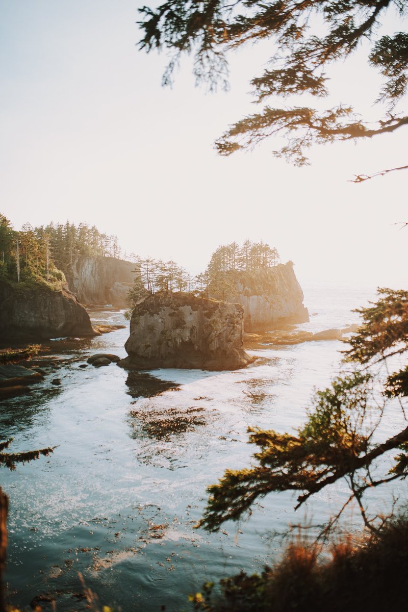 jaybeee48's tweet photo. views from cape flattery https://t.co/eGLnWh8Rbl