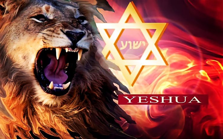godsdivinIty84's tweet photo. #LionOfJudah #KingChrist #HolySpirit https://t.co/AgXXrwvdsr