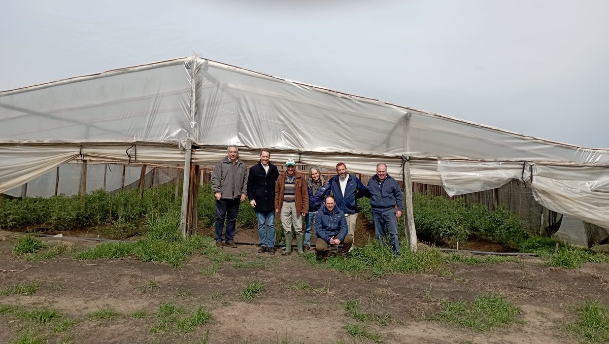 sofoval's tweet photo. Hoy tuvimos la visita de representantes de un grupo de productores de Israel interesados en conocer nuestra zona hortifrutícola, agradecemos a Granja "Las Hortalizas" y Granja "Los Valles" por su buena disposición y tiempo brindado👏 https://t.co/ELGCxv74Bf