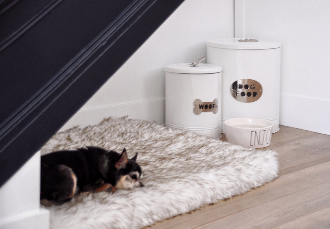 Your pets appreciate good design too! Especially when they are thought of during the planning process. Who else has a furry friend that would love this cozy staircase nook?

🐾🐾

#CollabDesigners #OttawaDesigner #HomeRenovation #FullHomeReno #KitchenDesign #KitchenAndBathDes