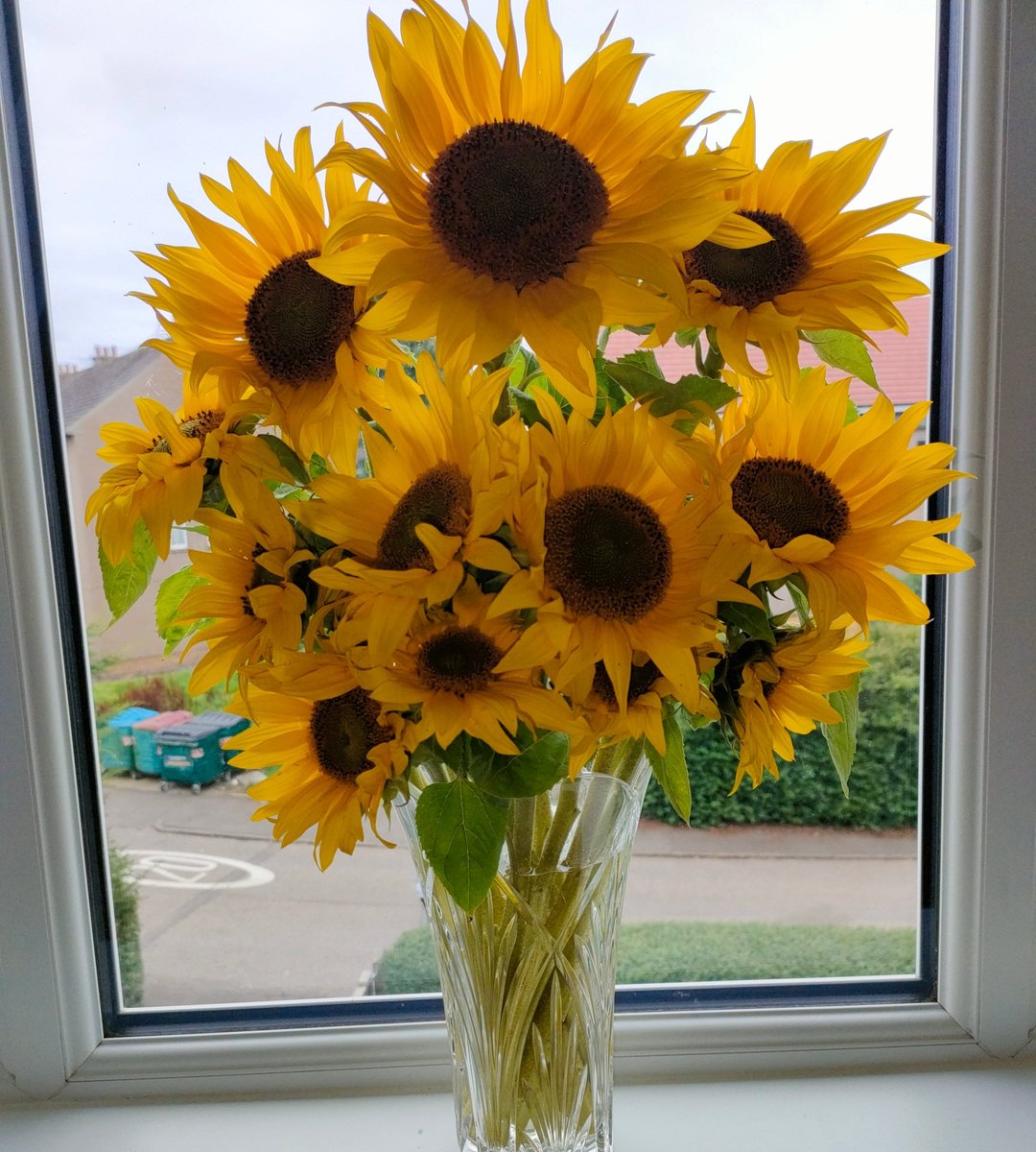 🏴󠁧󠁢󠁳󠁣󠁴󠁿🫶🏴󠁧󠁢󠁳󠁣󠁴󠁿💞💛 (@awalker_36) on Twitter photo 