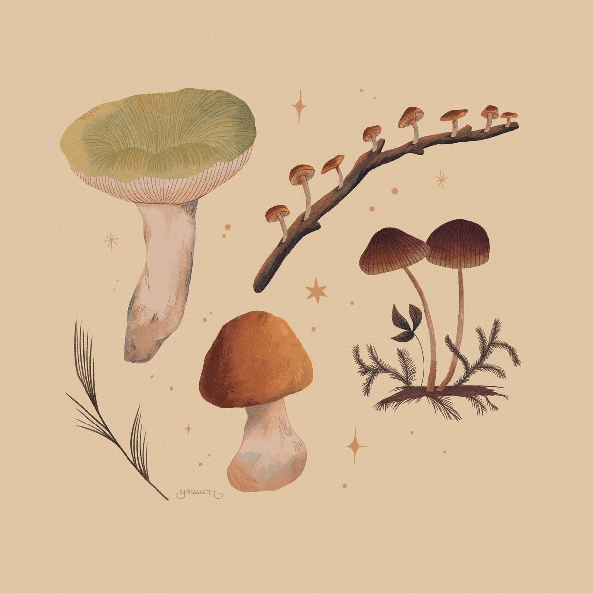 cypressketch's tweet photo. https://t.co/0iqZxsqFdk