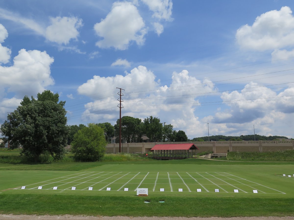 Paul Koch tweet media