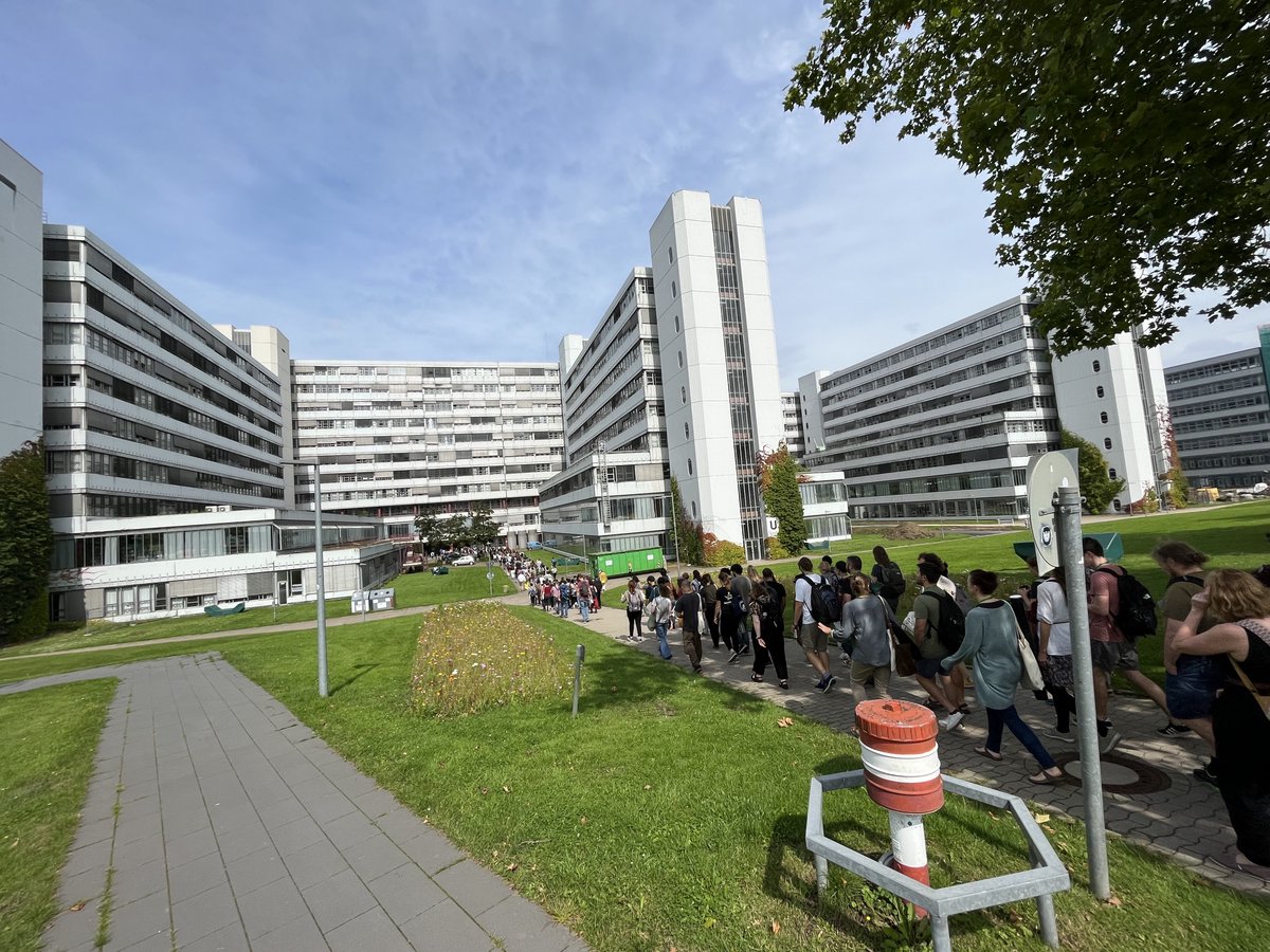 Berenika Mioduszewska tweet media