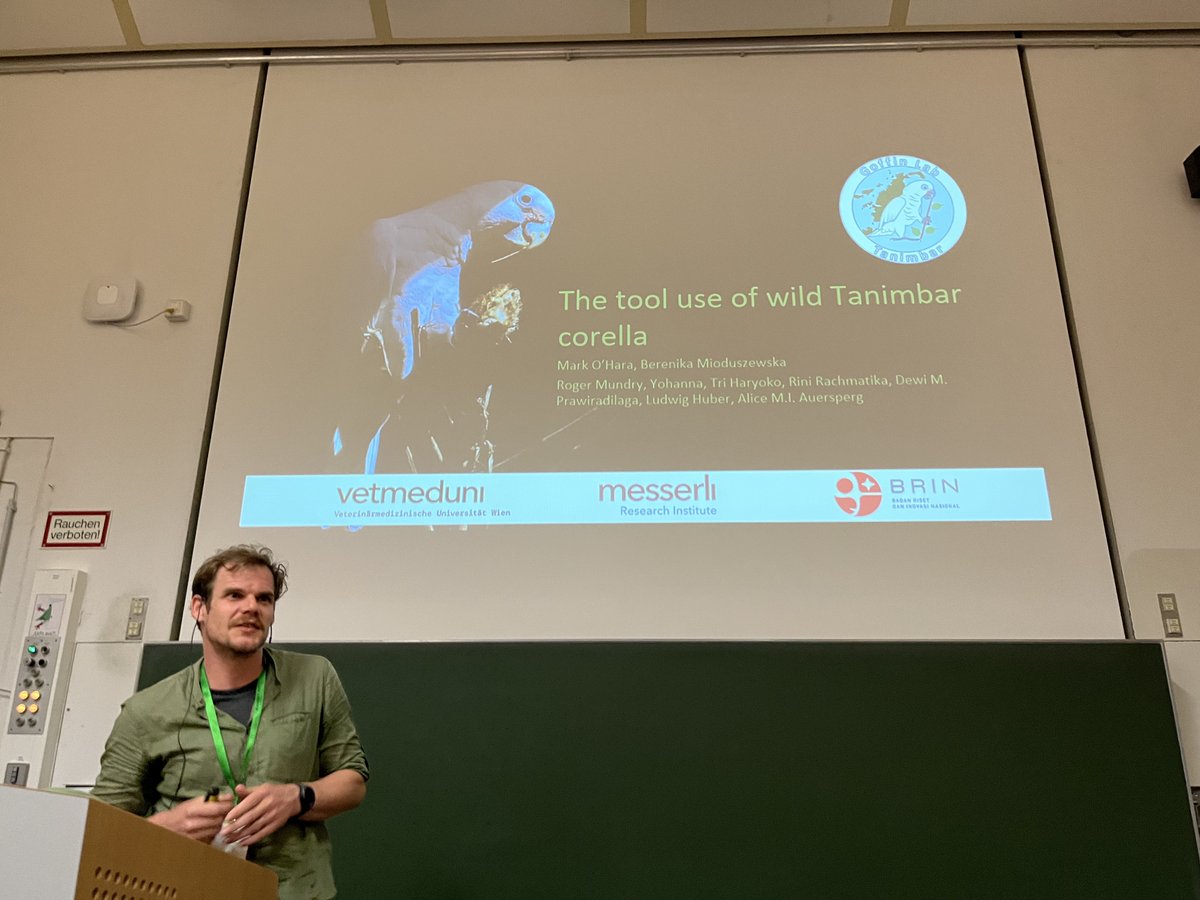 Berenika Mioduszewska tweet media