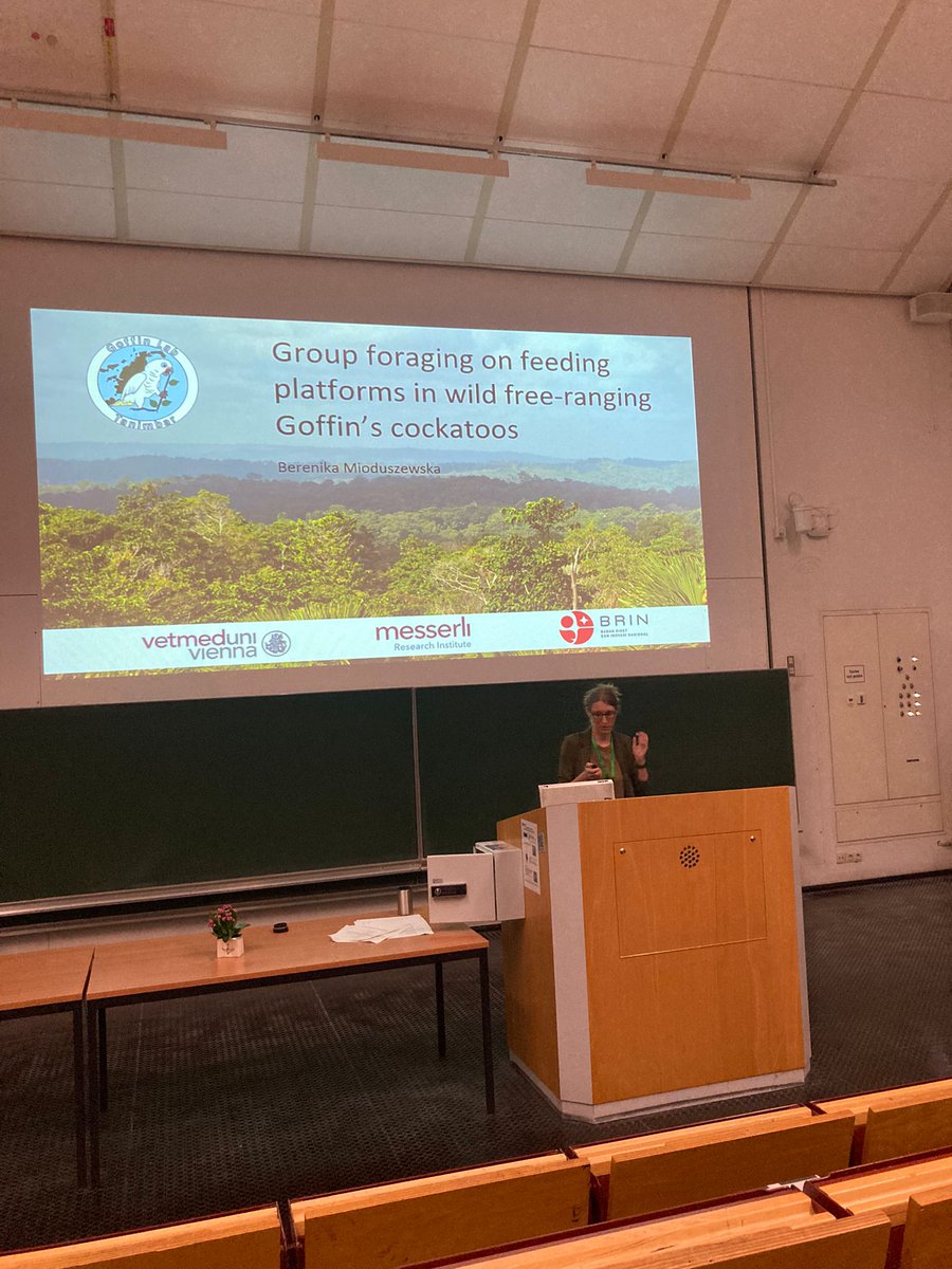 Berenika Mioduszewska tweet media