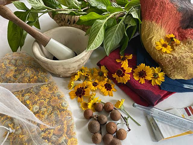 Ever thought of dye plants in your garden? Fashion racing towards  net zero😉
#SaveThePlanet 
PT CR: