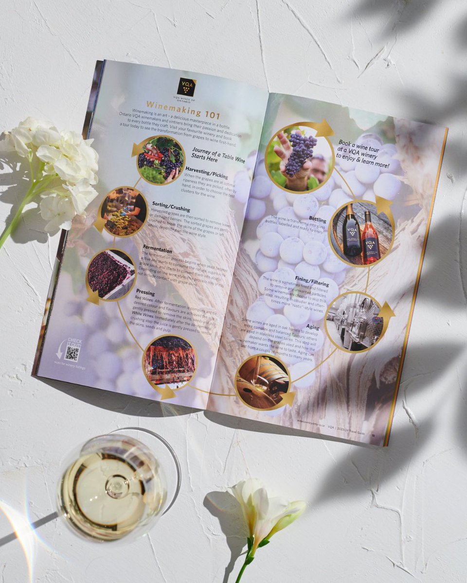 WineCountryOnt's tweet photo. The 2023/24 #WineCountryOntario Travel Guide has everything you need to know about Ontario #VQA wine, including how it's made!๐
From harvest to bottle, learn how your favorite Ontario #VQA wine is crafted, and plan a visit to try it!๐ท #GotTheGuide!๐ธ
https://t.co/b6wZYusrM0 https://t.co/DV85fB7A55