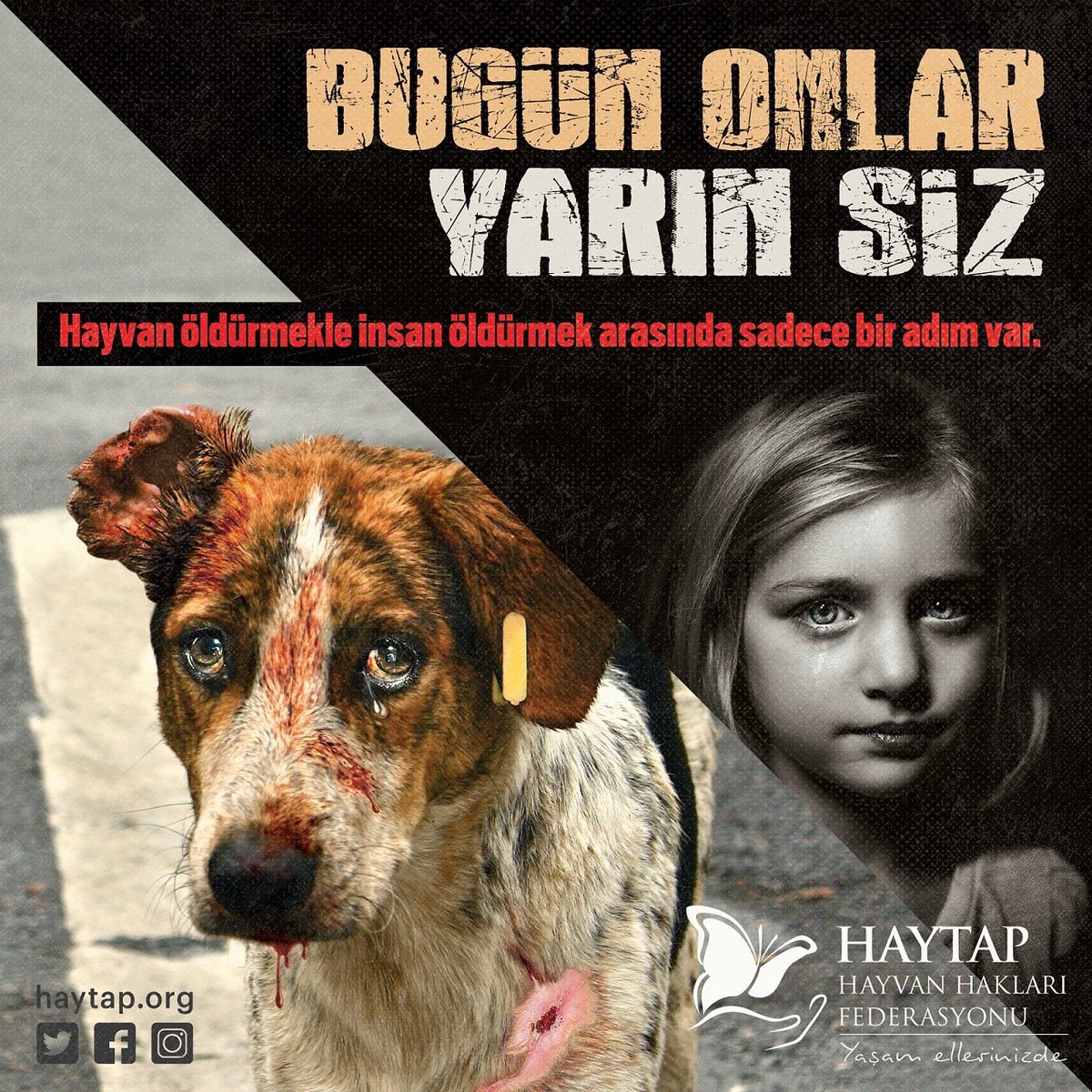 #MardinKöpekKatiliTutuklansın 
İşte bunun gibi gözünü kırpmadan masum bir cana defalarca vurup öldüren soysuzlar için insan cinayeti de zor olmayacaktır!!! Acılar içinde ölmek için yalvarıp da ölememen dileğiyle. Rabbim 🤲🏻🤲🏻🤲🏻