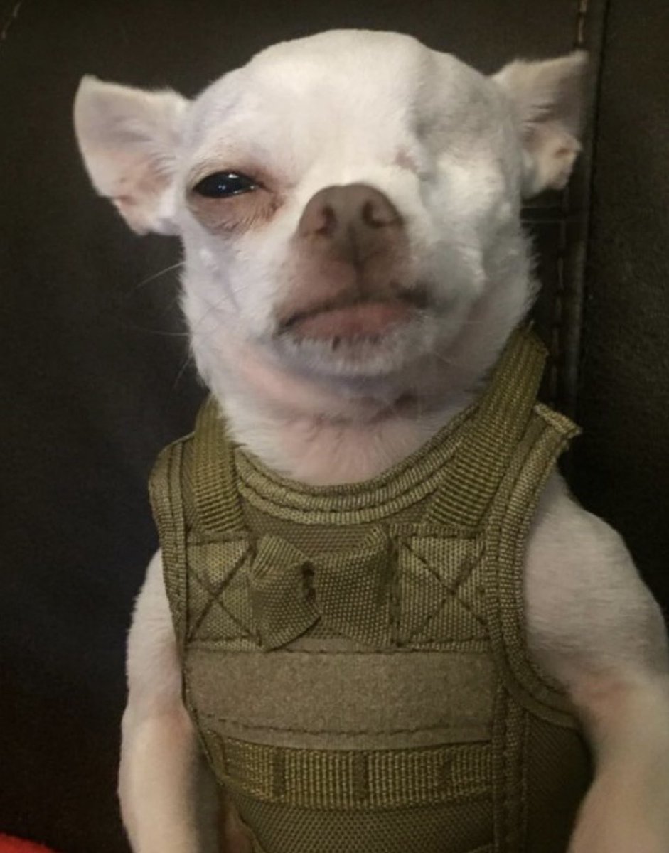 After the bender