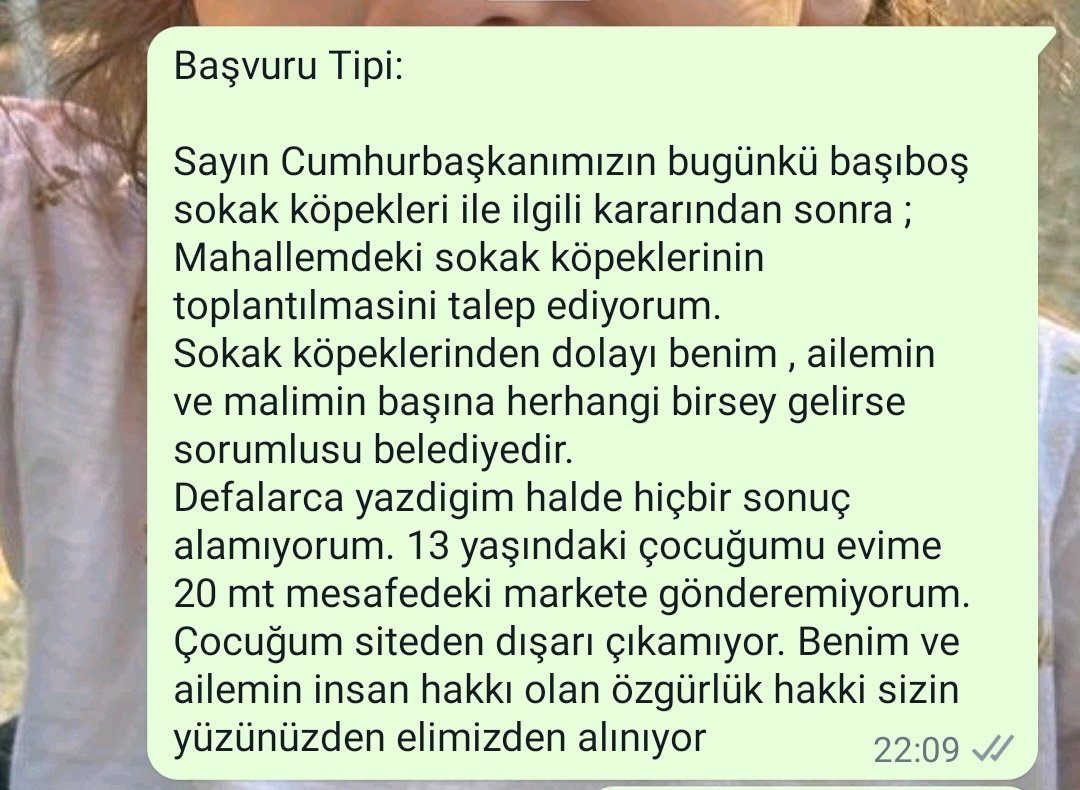 Önce cimer şikayet  , sonra belediyeye whats up tan mesaj attım. Hadi bakalım.. #köpekterörü #başıboşköpeksorunu #başıboşköpekistemiyoruz #köpekleritoplayın