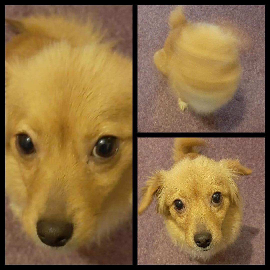 Amy here. Before, during and after big shake. Lol 💜💜💜