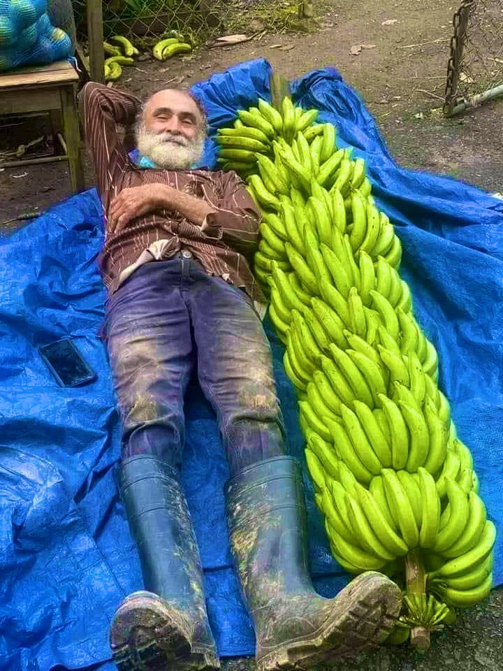 👩‍🌾👨‍🌾

Do you love #farming? 
Let’s give this farmer global recognition by retweeting this photo⤵️

#agriculture #smallholder #FoodSystems