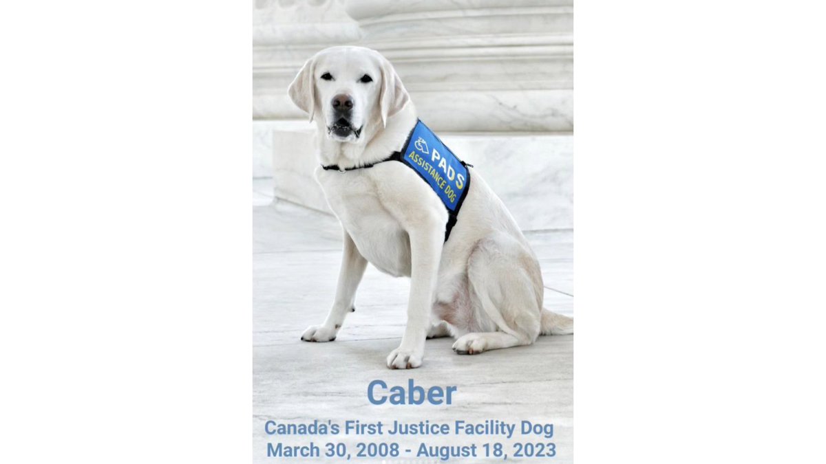 NEWS RELEASE: Caber – Canada’s First Justice Facility Dog Passes Away With heavy hearts, the DPD shares the news of the passing of Caber, Canada’s first Justice Facility Dog. Full release here: bit.ly/45htVcx Email condolences to caber@deltapolice.ca