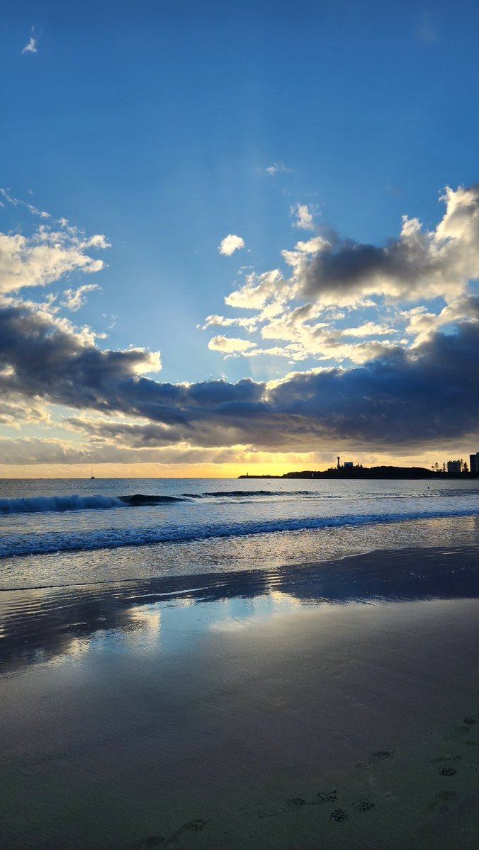 Michelle Pedlow tweet media