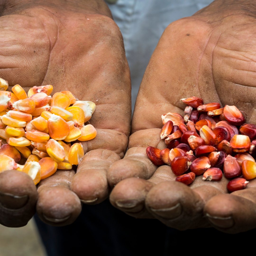 BrooklineArtsCenter tweet media