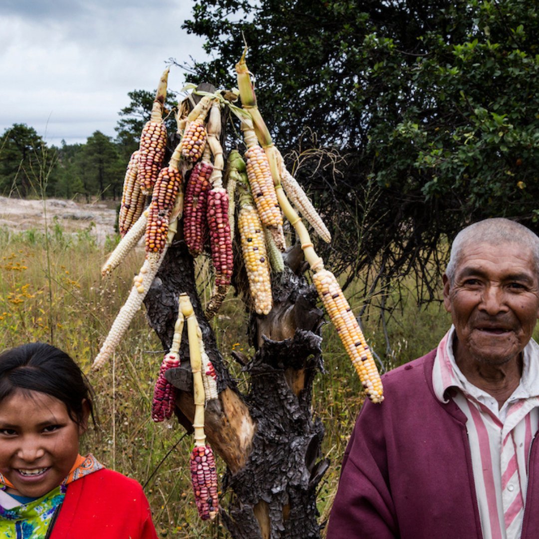Join us on Sept 23 at Monmouth Park for a free outdoor screening of SUNÚ (2015) by Teresa Camou Guerrero, presented in partnership with IMCINE, City on a Hill Brookline and Brookline Recreation!

Learn more at brooklineartscenter.com/events! 

#SUNU #MonmouthPark #HispanicHeritageMonth