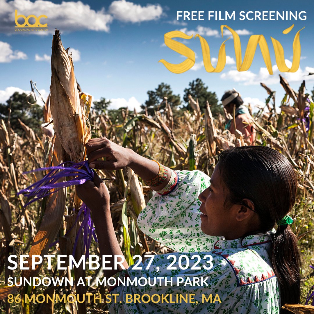 BrooklineArtsCenter tweet media