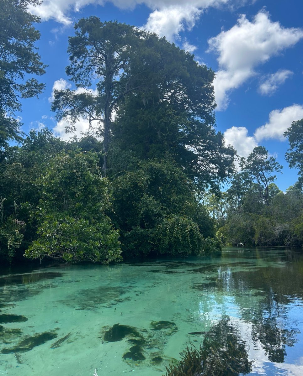 WeekiAdventures's tweet photo. "Nothing beats that blue water and beautiful sky! Went on a trip with my little sister (it was her first time) and she had the best time. Thanks Weeki!" - Brooke E. 🌳 https://t.co/FLkYibEixW