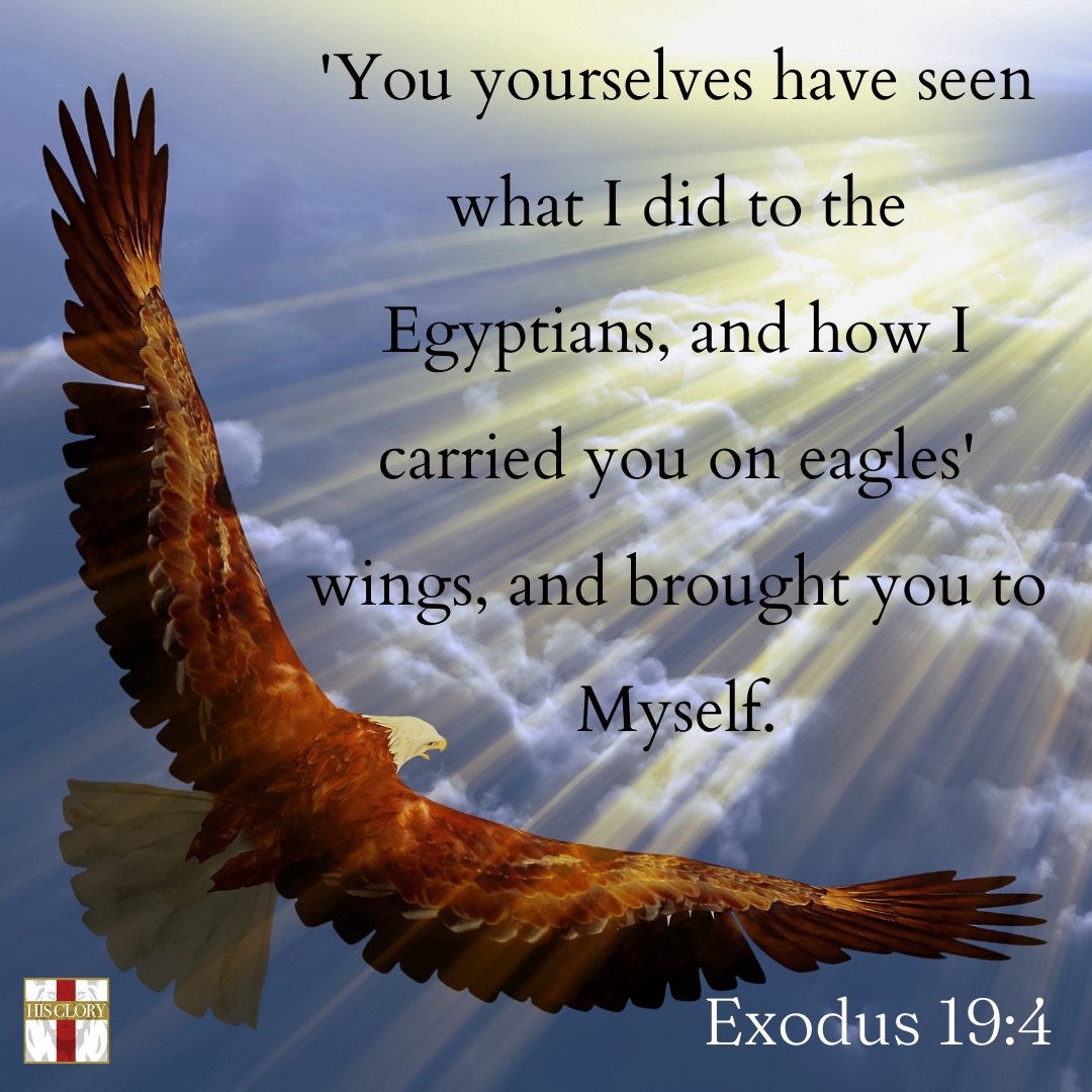 'You yourselves have seen what I did to the Egyptians, and how I carried you on eagles' wings, and brought you to Myself. Exodus 19:4 NASB hisglory.me #bible #exodus #eagle #eagleswing #TrustGod #JesusisLord #Holyspirit #fellowship #biblestudy #praise #Godisgood #amen