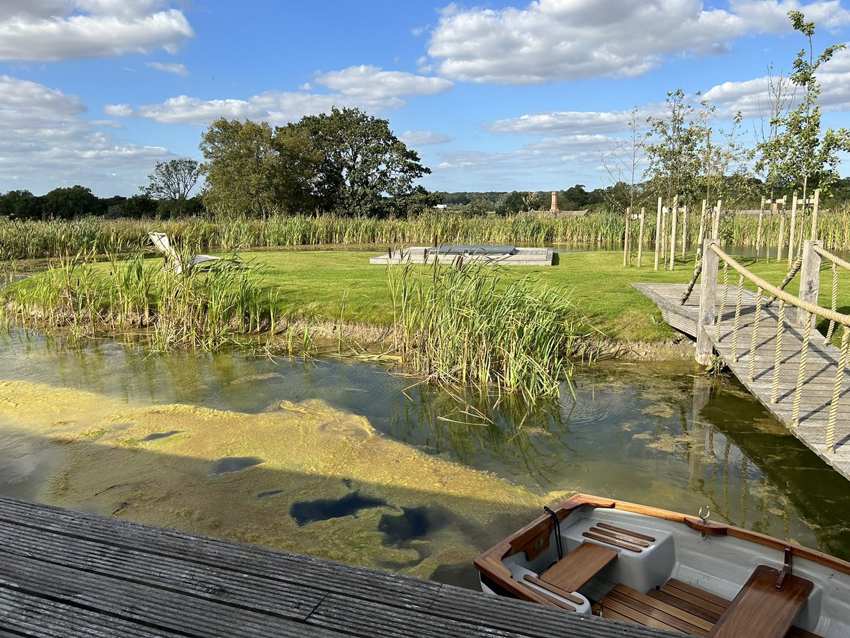 BoxOfFrogs tweet media