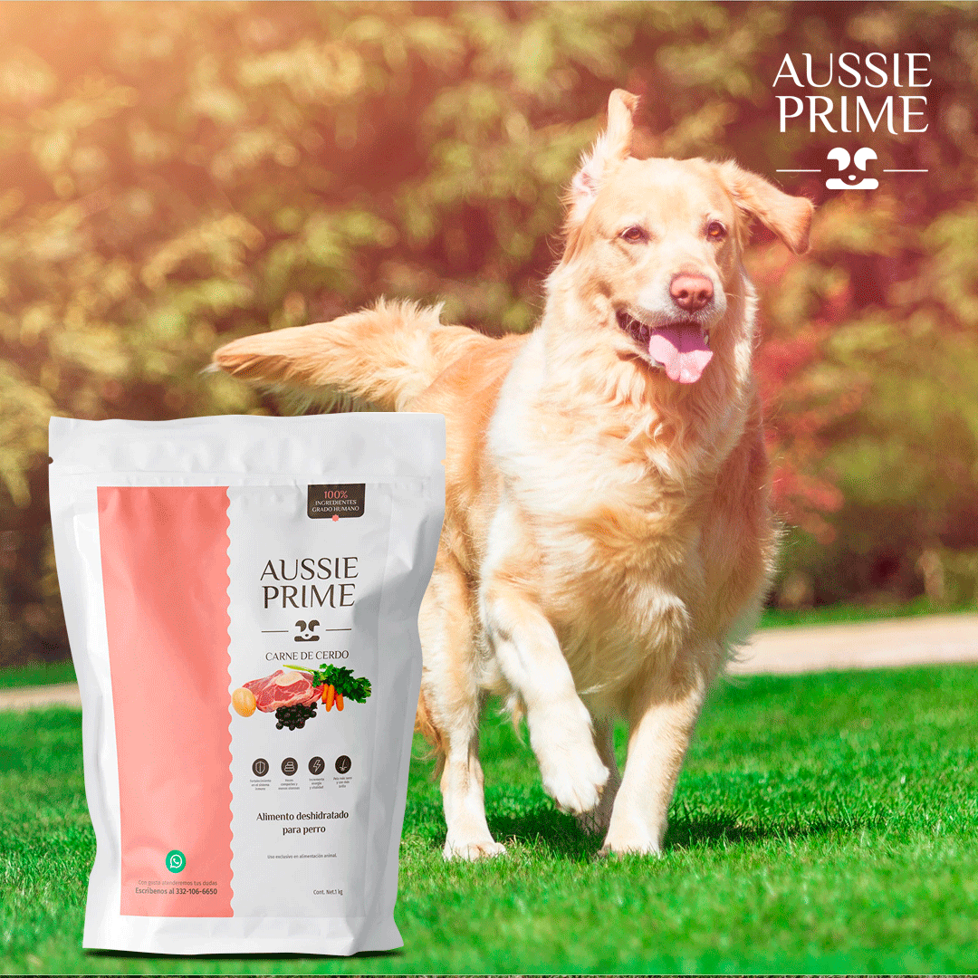 Aussie Prime (@prime_aussie) / Posts / X