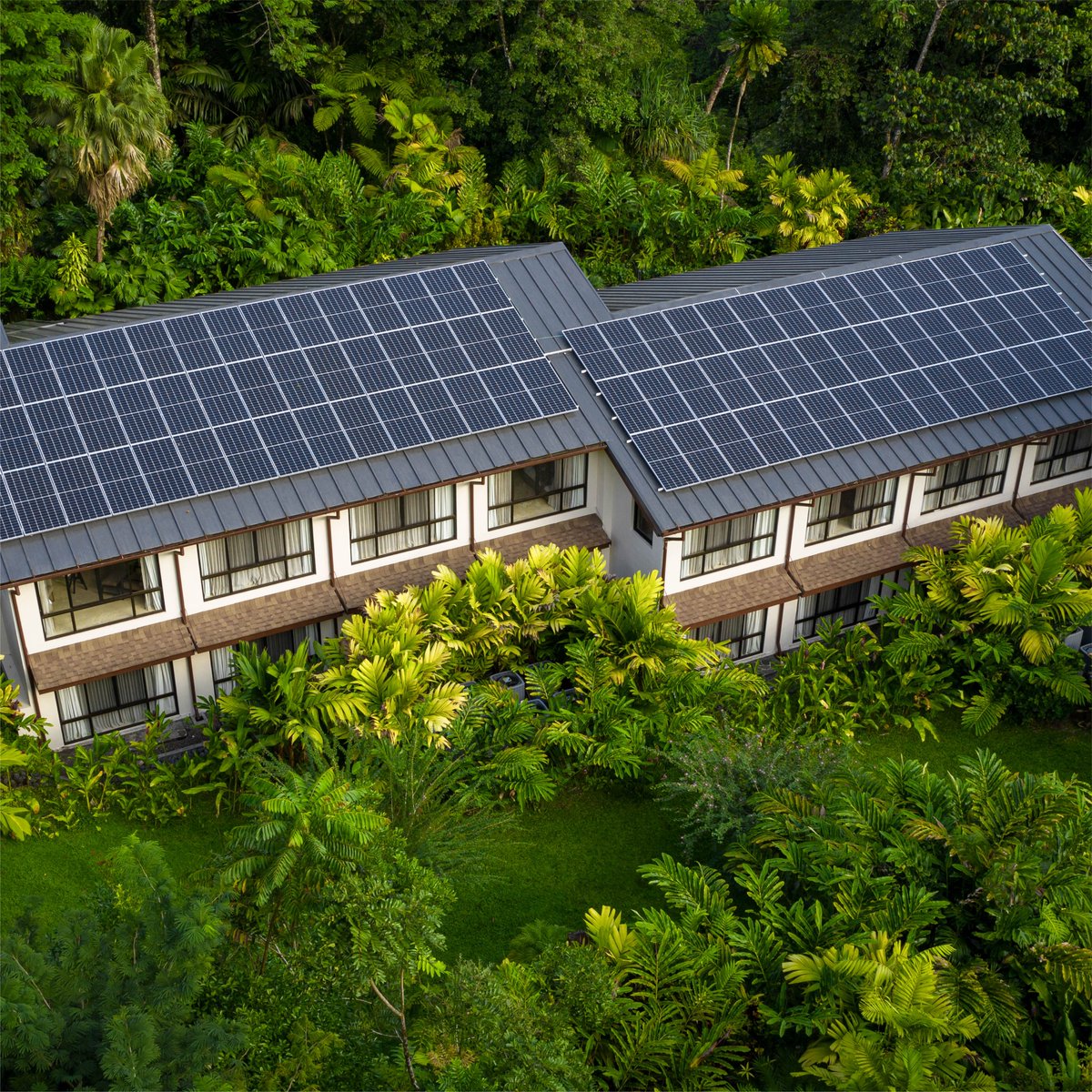 Tabacon Resort tweet media