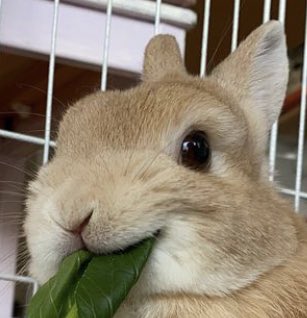 bunkoo pics !! 🐰💜 tweet media