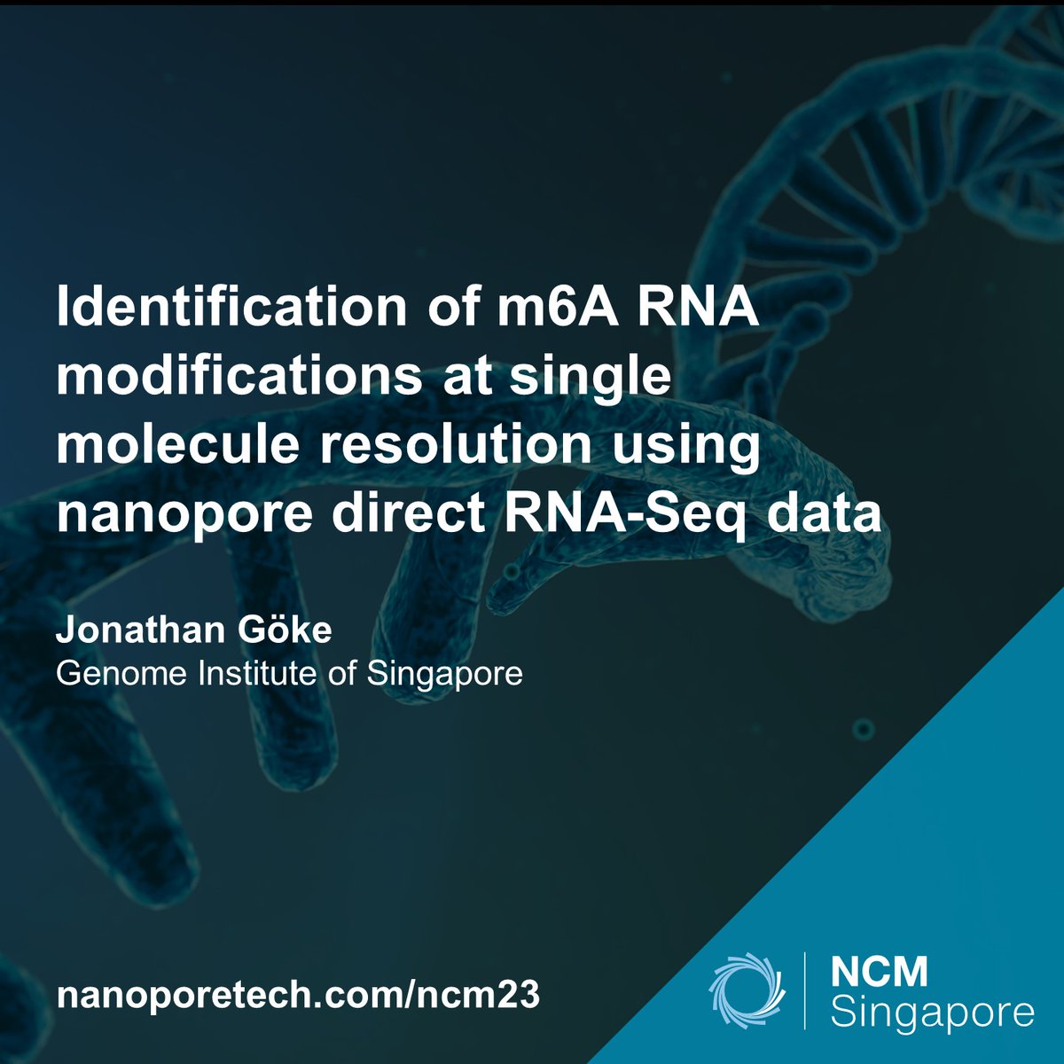 RNA modifications can form an additional layer of complexity in the transcriptome. At NCM 2023 Singapore, @JonathanGoeke will discuss direct RNA nanopore sequencing to capture, identify & quantify these RNA modifications. Find out more: bit.ly/3QyNs3x #naoporeconf