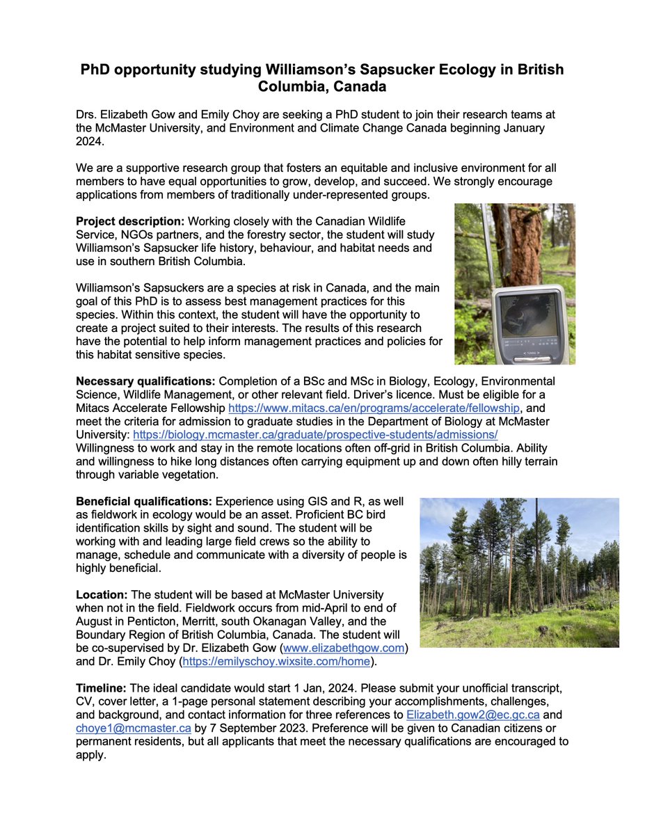 Interested in studying Williamson's Sapsuckers, with fieldwork in British Columbia? @Emily_S_Choy and I are looking for a PhD student to be based at McMaster University. Want a project with direct conservation applications, then this project is for you. App due 7 Sept 2023