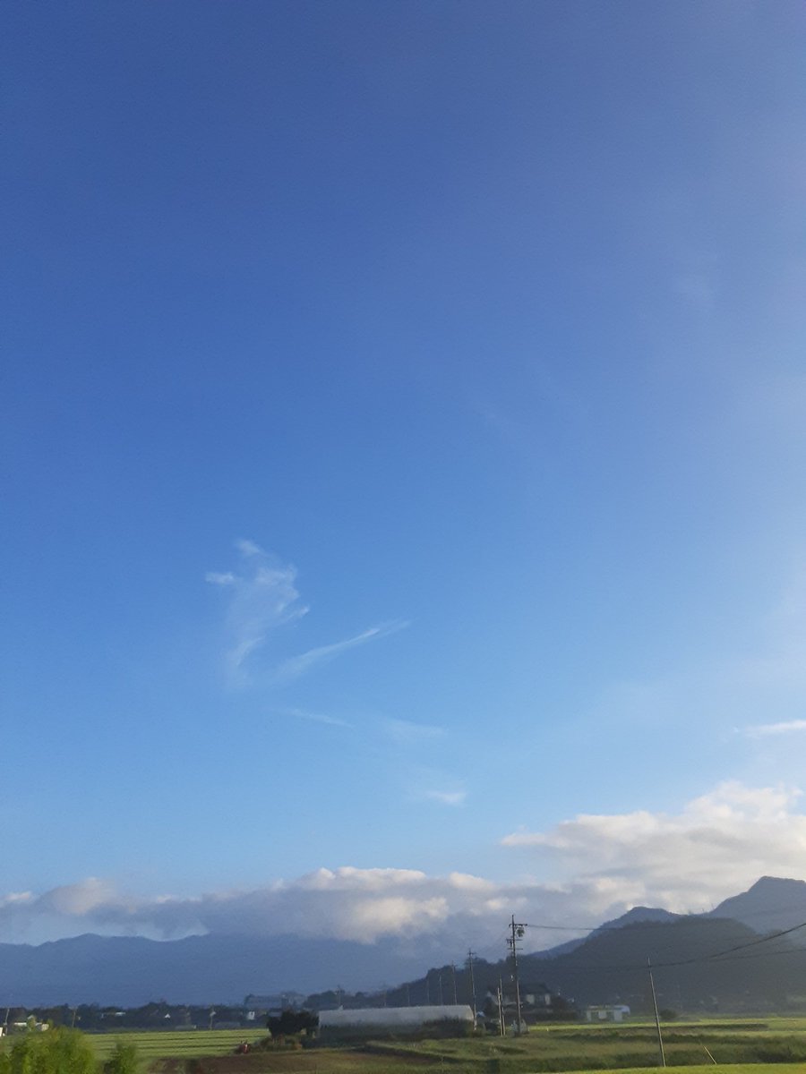 kudou_seika's tweet photo. おはようございます！
8月22日火曜日、皆さん今日も１日笑顔で元気にすごしましょう‼️ https://t.co/hSWqhQjtfy