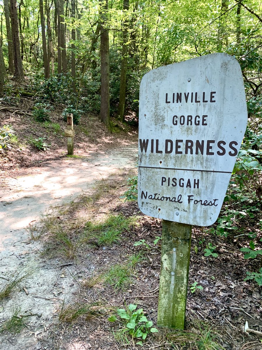 UnInHibbitted's tweet image. 35°53’25”N x 81°52’59”W | 
Table Rock (Linville Gorge) | 08/20/23 | 4.2 Miles | Elevation: 3,940 ft. | #TableRock #LinvilleGorge #PisgahNationalForest #NorthCarolina #Linville #Morganton #BlueRidge #BlueRidgeMountains