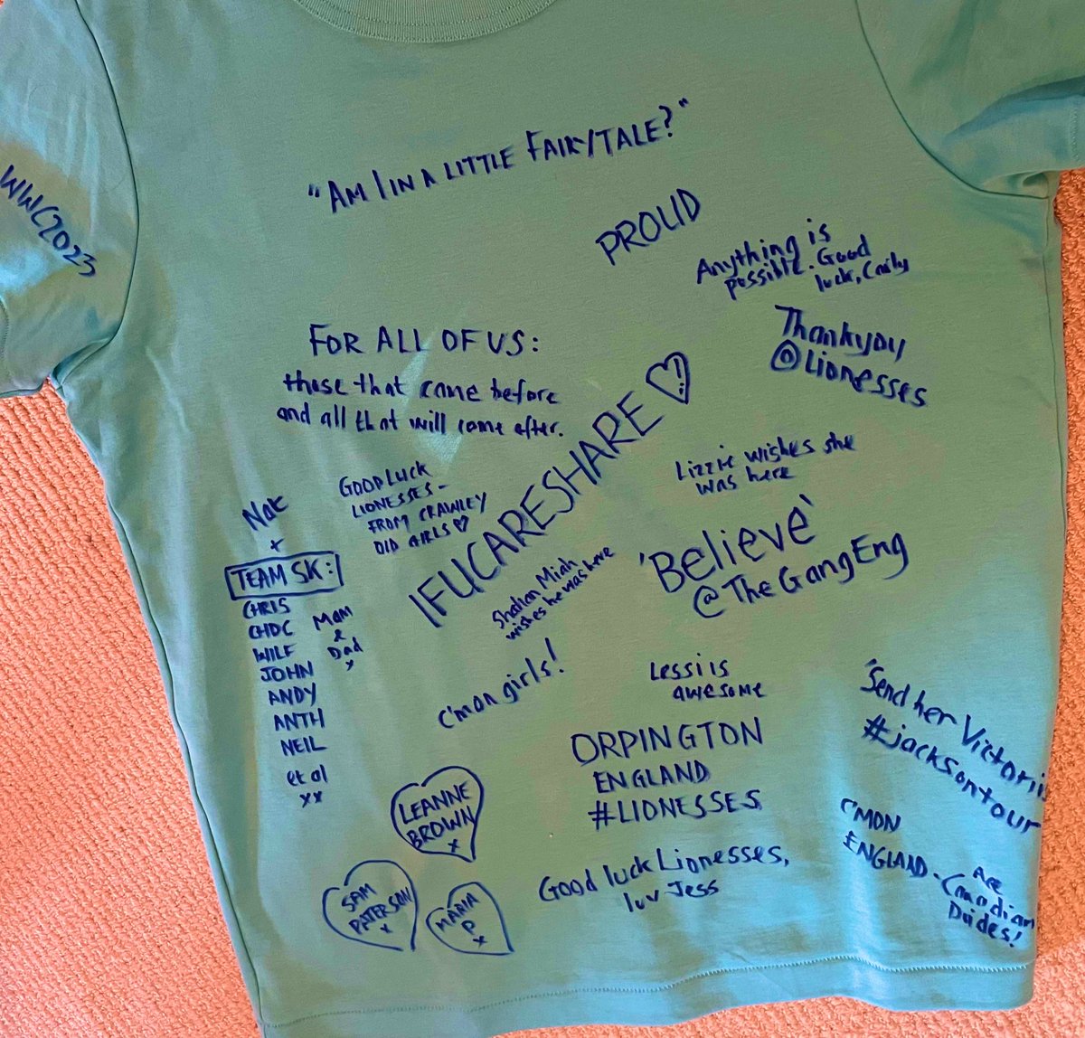 SheKickedJenON's tweet photo. Just to let you know that I wore the shirt. If you messaged, you were on there. Remembered some fans no longer with us too. It wasn’t to be but what a ride! https://t.co/BWiBlGHLhw https://t.co/Sd1apzISue