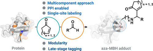 J Org Chem/Org Lett tweet media