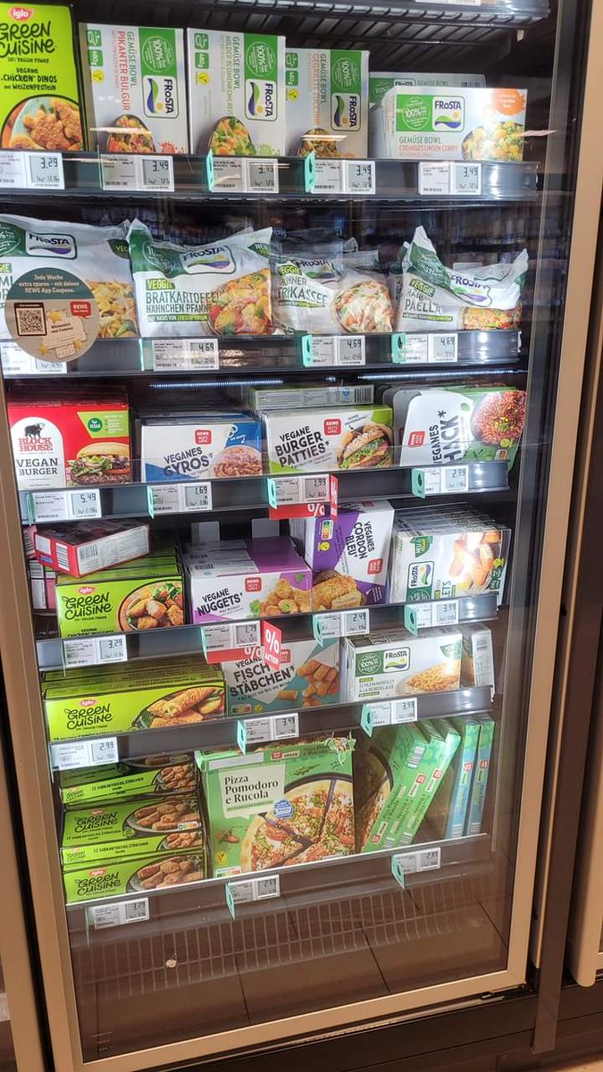 Brenda 💜 and Ziggy the cat 🐾😽 tweet media