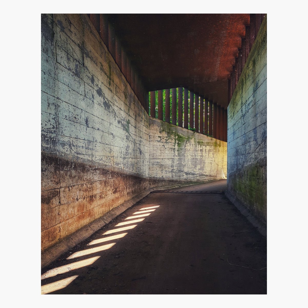De fotojuf zag zelf ook weer veel moois.😊
.
#zaanstadHBT #summerschoolznstd #museumofhumanity #hembrugterrein #zaanstad #zaanstreek #zaandam #amsterdam #industrialheritage #visitzaanstad #instawalk #fotografiewandeling #fotowandelen