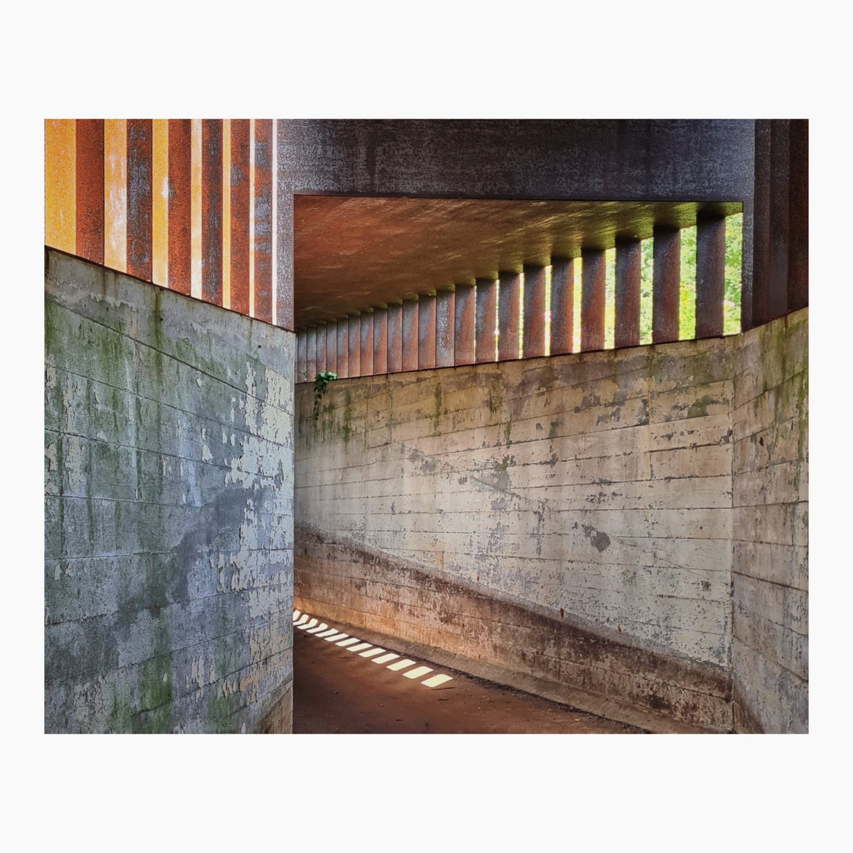 De fotojuf zag zelf ook weer veel moois.😊
.
#zaanstadHBT #summerschoolznstd #museumofhumanity #hembrugterrein #zaanstad #zaanstreek #zaandam #amsterdam #industrialheritage #visitzaanstad #instawalk #fotografiewandeling #fotowandelen