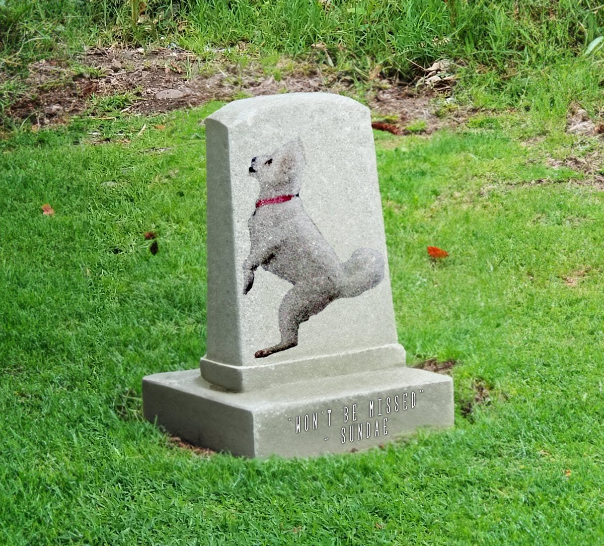 Reserdent's tweet photo. @jacksfilms #Yiaytomb https://t.co/fQDaaLiE7U