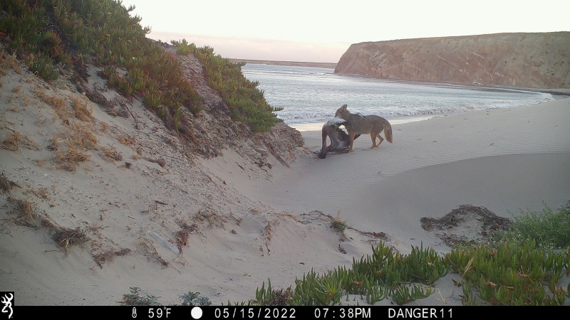 project_ecotone tweet media