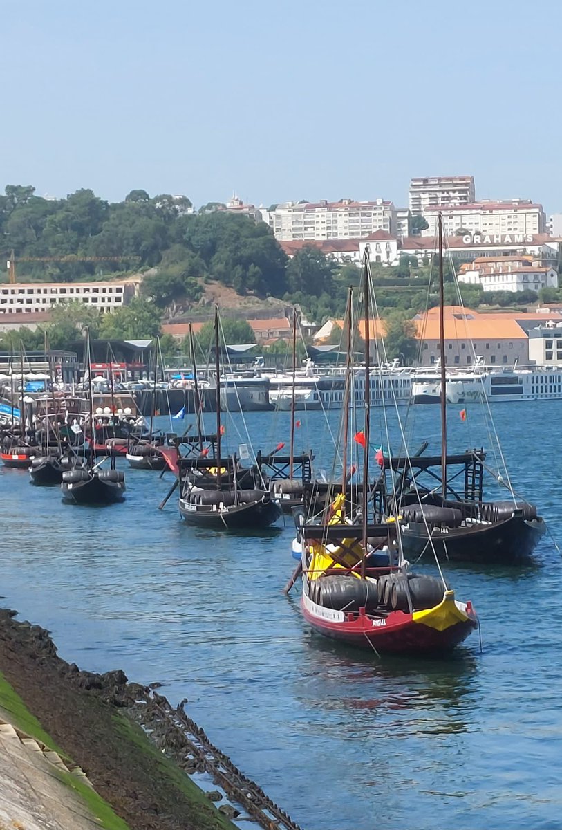 jackiemcguin's tweet photo. Day 1694 of #1700daysofwalking Another hot, sun filled day in #Porto Cruise on the river followed by port sampling,chocolate museum and so many steps uphills! https://t.co/fA6DO3hAXN