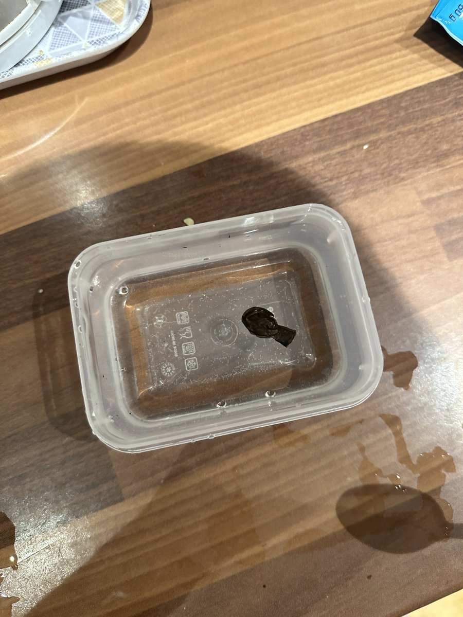 coloursofchar's tweet image. who likes my water drawings :D