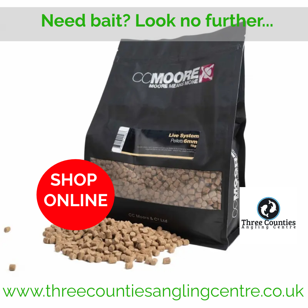 3CountiesAC's tweet photo. NEW BAITS BEING ADDED DAILY AT https://t.co/MD2edIyM8q.
#Bait #Maggots #Fishing #CCMoore #Tackle #NashTackle https://t.co/Ynwrv4bABx
